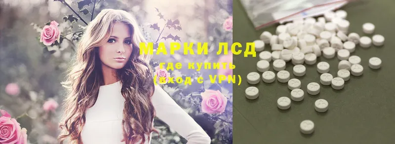 ЛСД экстази ecstasy  наркошоп  Верхотурье 